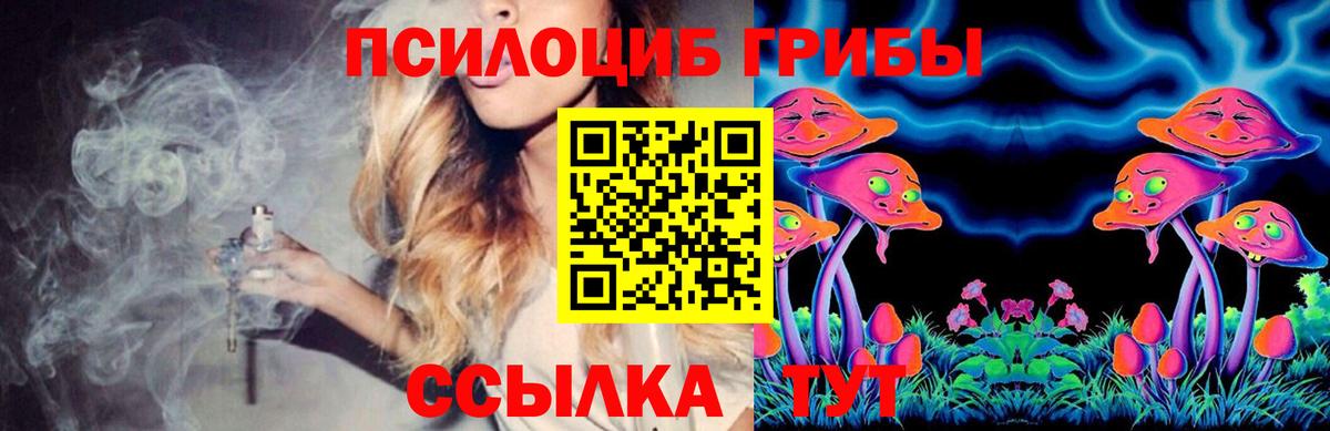 Псилоцибиновые грибы Psilocybine cubensis  Вход с VPN  Псилоцибиновые грибы Psilocybe  Новоалтайск 